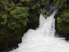 Kaituna - Okere Falls: Evka at the highest drop
