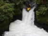 Kaituna - Okere Falls: JKB at the highest drop (looks ok, but it took me 3 shots to get it right :-)
