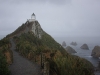 Nugget Point: morning walk to the lighthouse